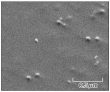 采用 SEM 所進行的偏光膜表面觀測實例
