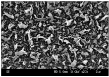 采用 SEM 所進行的 RO 膜表面結構觀察實例