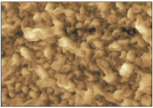 采用 SPM 所進行的 RO 膜表面結構觀察實例