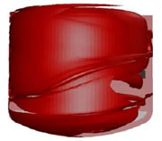 濃度分布分析結果