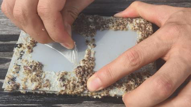 Protecting Oceanographic Research Sensors MARINGLIDE?