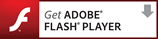 安裝 Adobe Flash Player